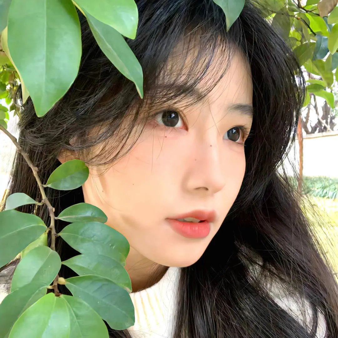天堂岛疑云第十季